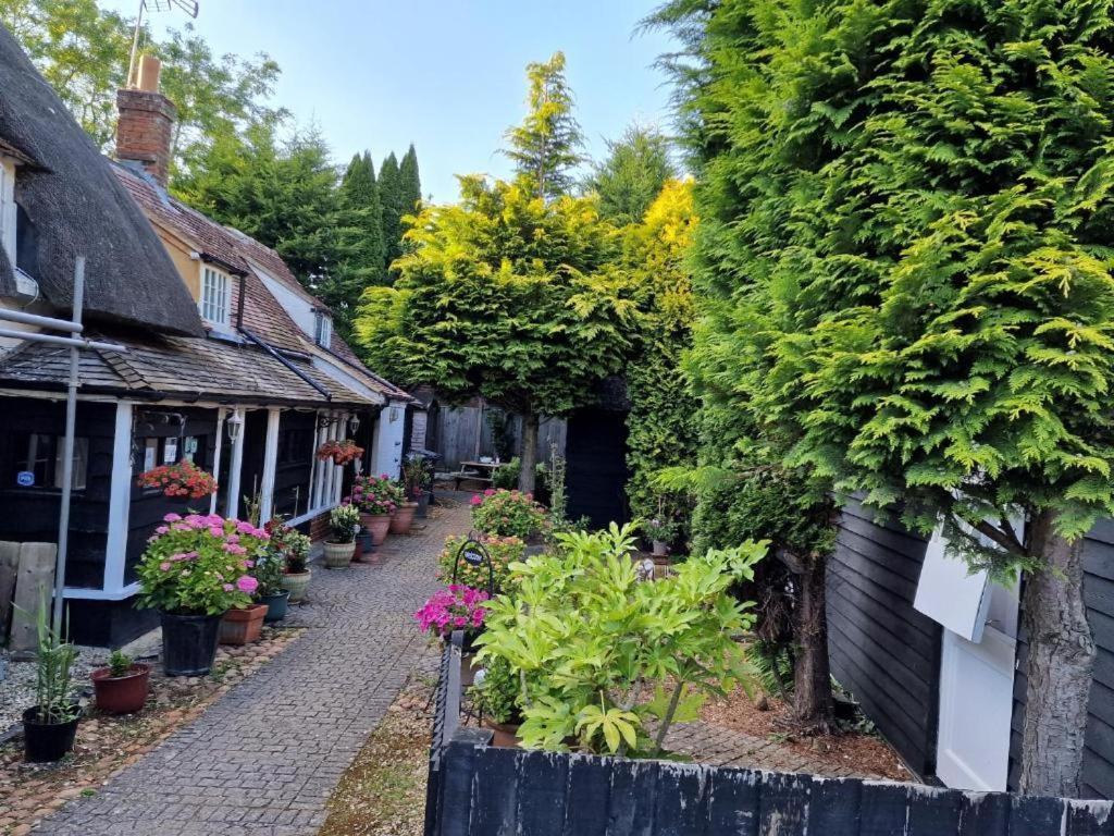 Abingplough House Bed & Breakfast Abingdon-on-Thames Dış mekan fotoğraf