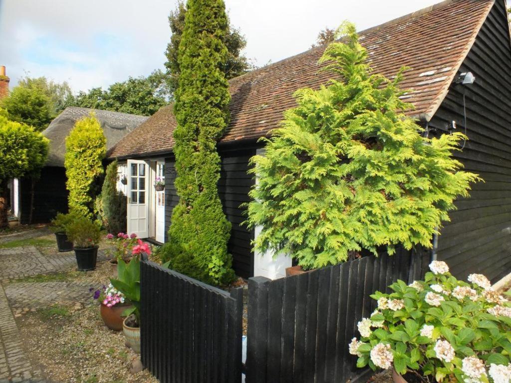 Abingplough House Bed & Breakfast Abingdon-on-Thames Dış mekan fotoğraf